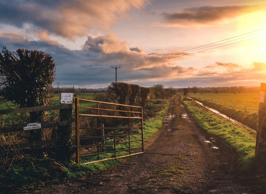 fence - dirt road