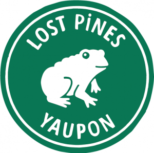 Store logo Lost Pines Yaupon Tea