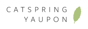 CatSpring Yaupon