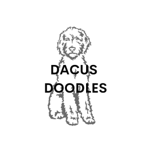 Store logo Dacus Doodles
